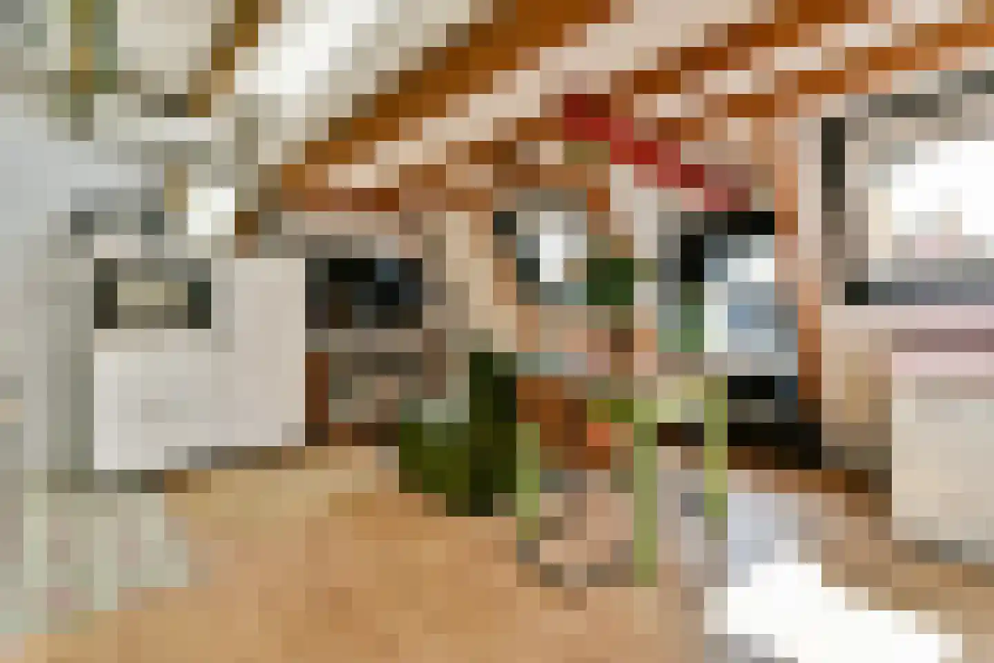 Fagelstraat 68 4 Amsterdam thumbnail 5