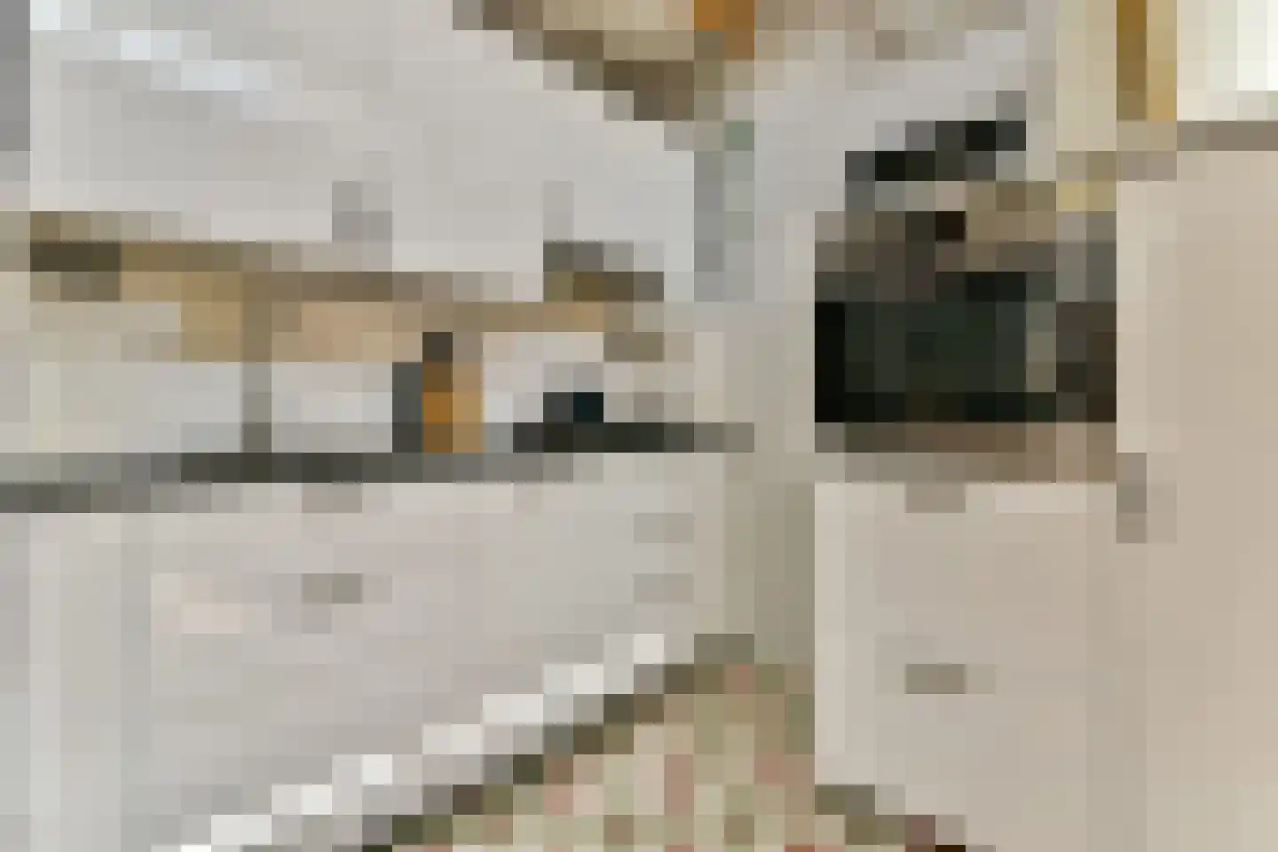 Fagelstraat 68 4 Amsterdam thumbnail 7