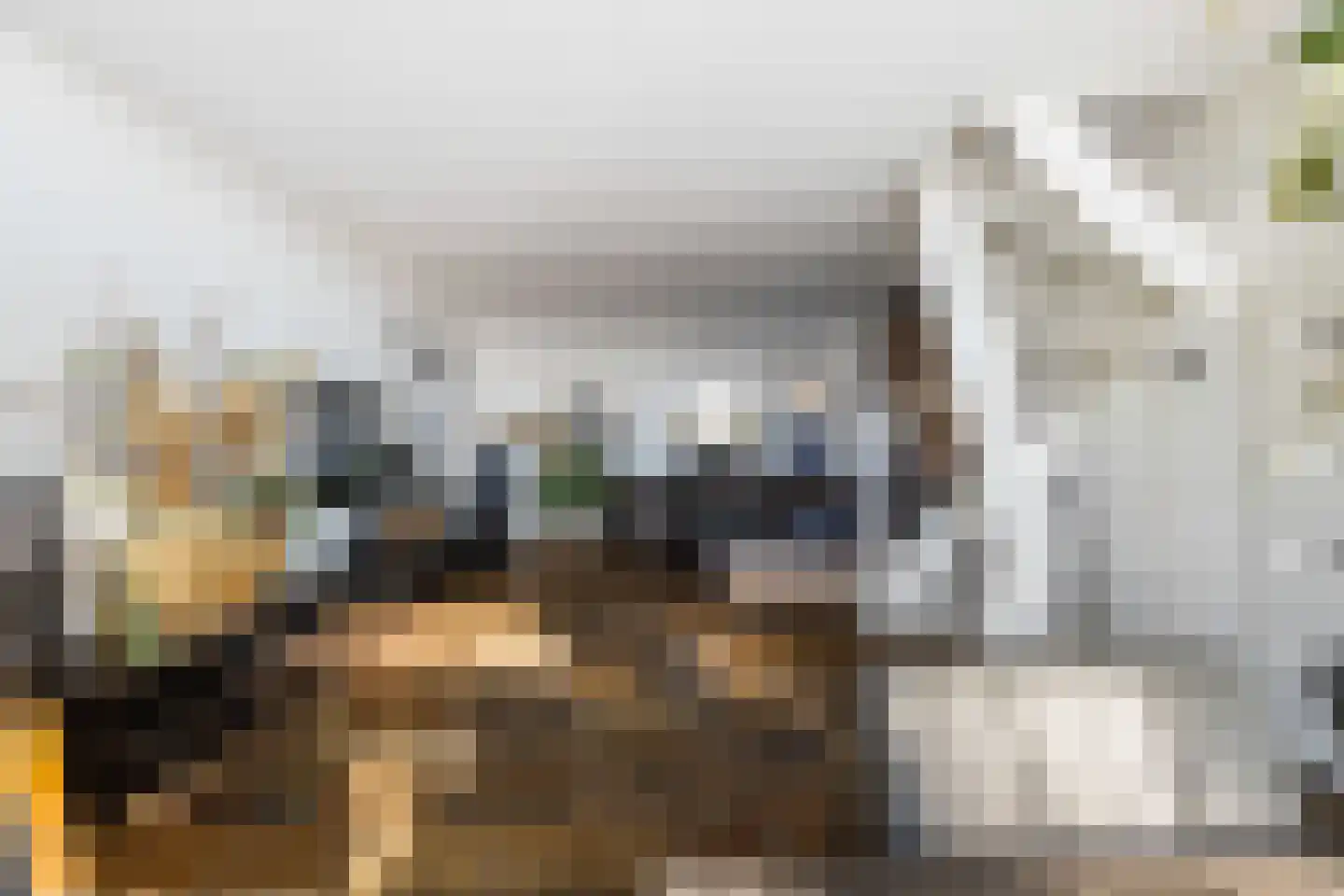 Fagelstraat 7 Zwijndrecht thumbnail 12