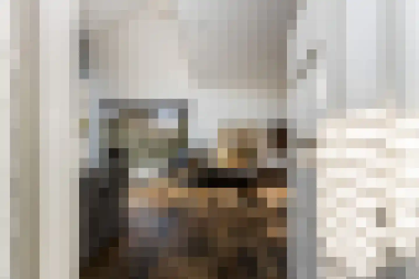 Fagelstraat 7 Zwijndrecht thumbnail 7