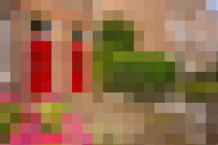Fagelstraat 74 Nijmegen thumbnail 30