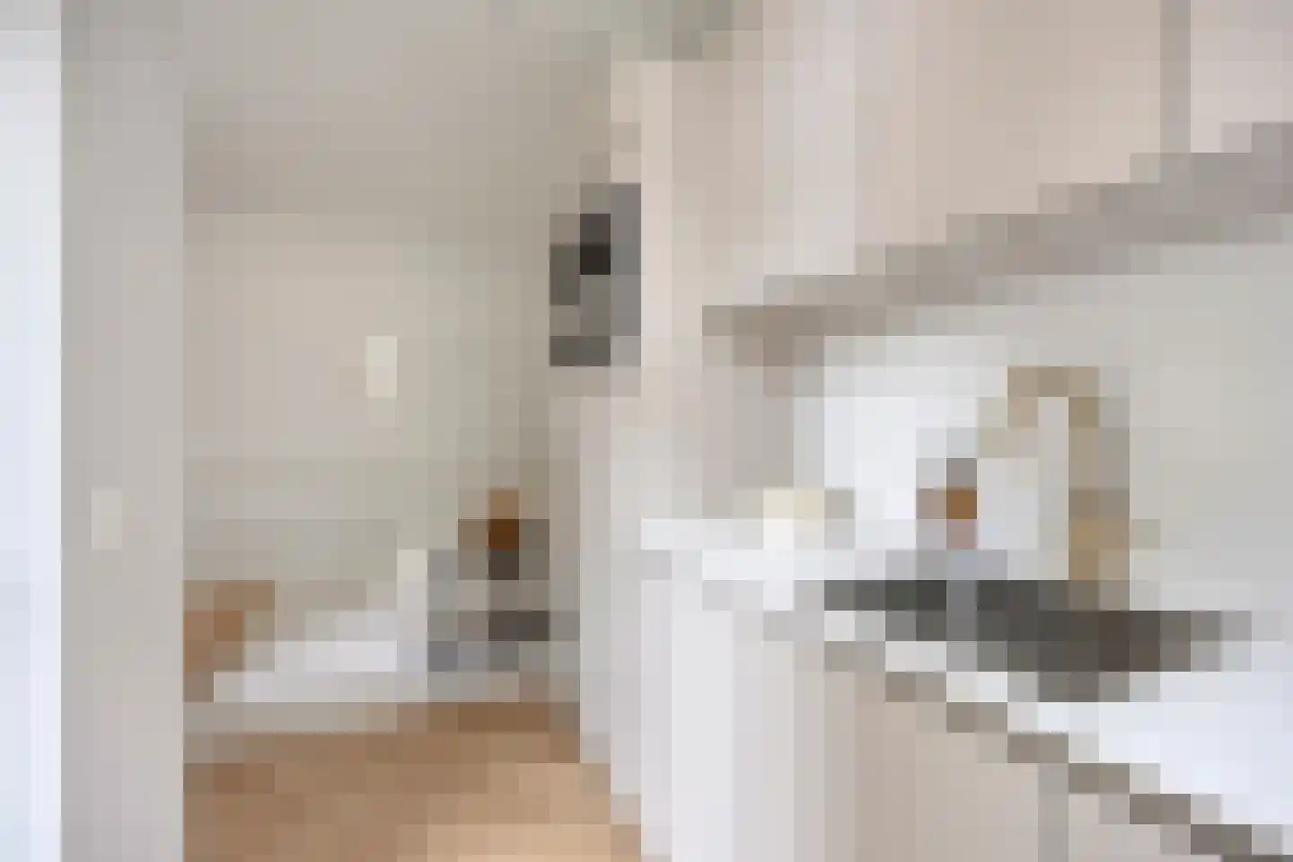 Fagelstraat 90 1 Amsterdam thumbnail 8