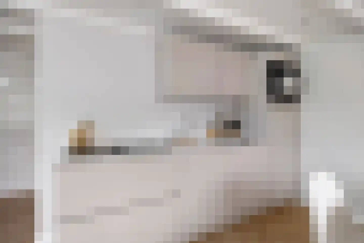Fagelstraat 90 4 Amsterdam thumbnail 9