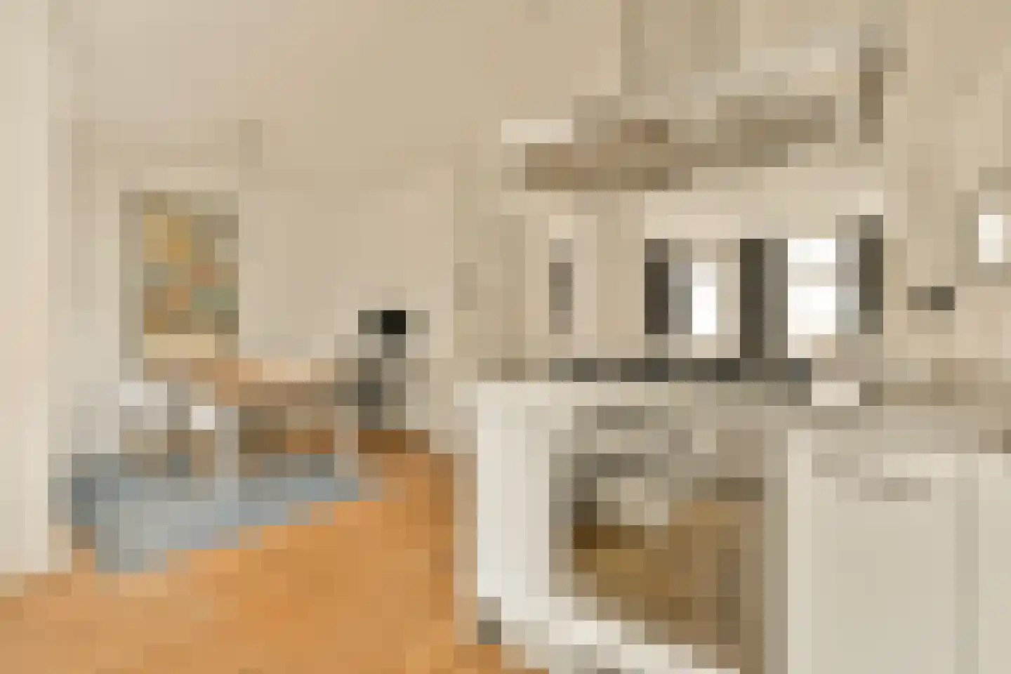 Fagelstraat 94 1 Amsterdam thumbnail 9