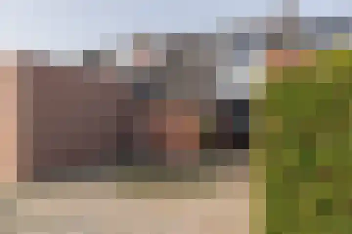 Fagot 11 Ewijk