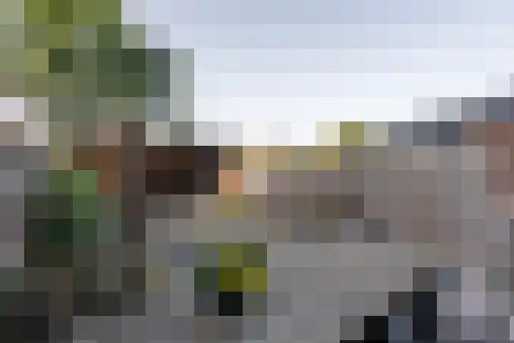 Fagot 11 Ewijk thumbnail 10