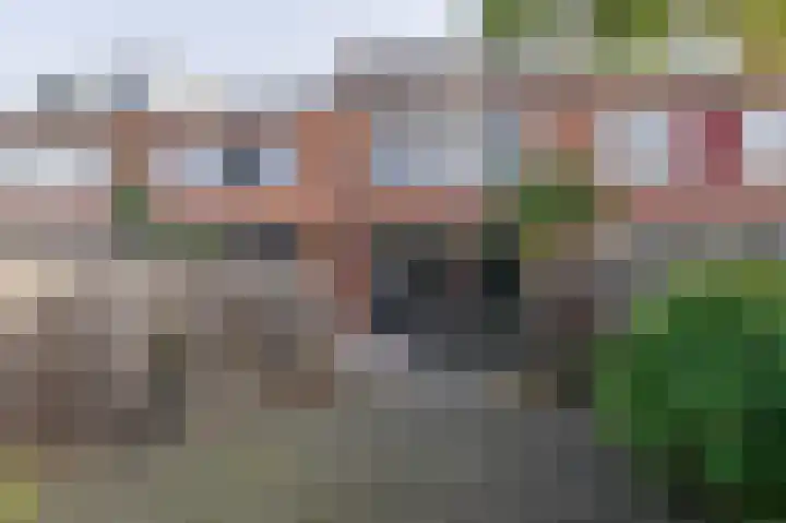 Fagot 11 Ewijk thumbnail 14