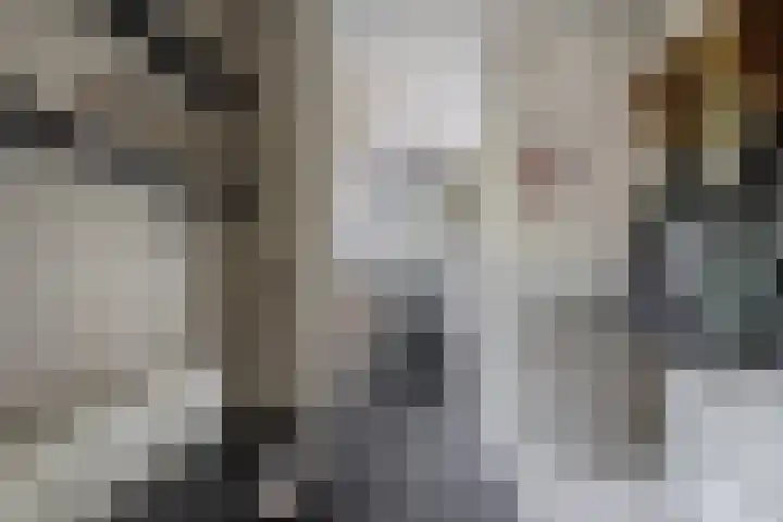 Fagot 11 Ewijk thumbnail 15