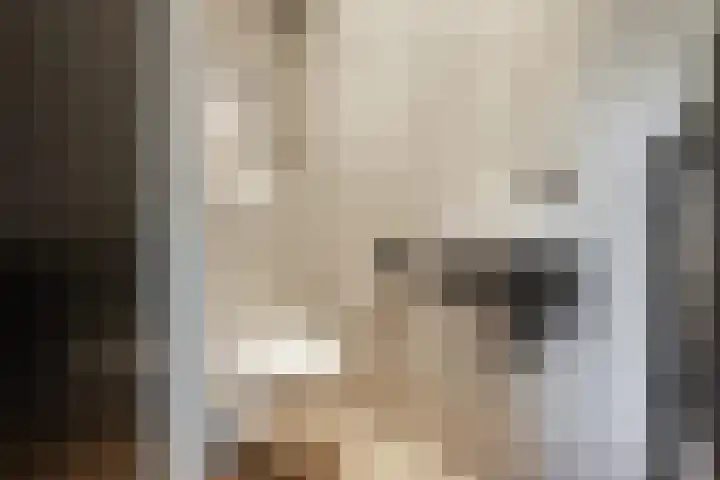 Fagot 11 Ewijk thumbnail 16