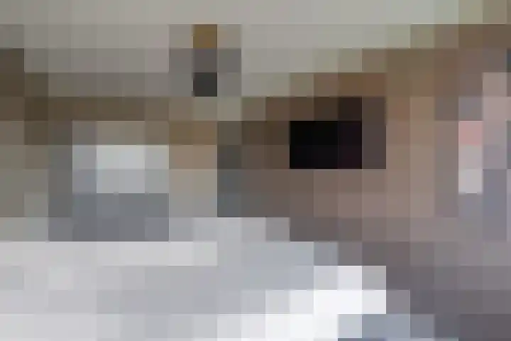 Fagot 11 Ewijk thumbnail 19