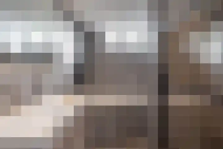 Fagot 11 Ewijk thumbnail 21