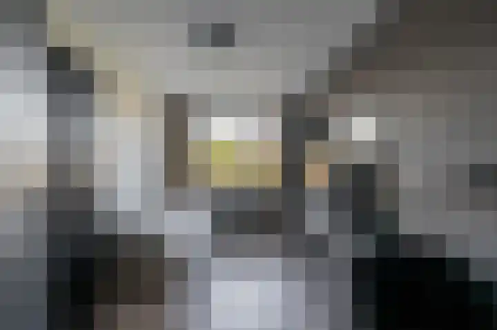 Fagot 11 Ewijk thumbnail 24