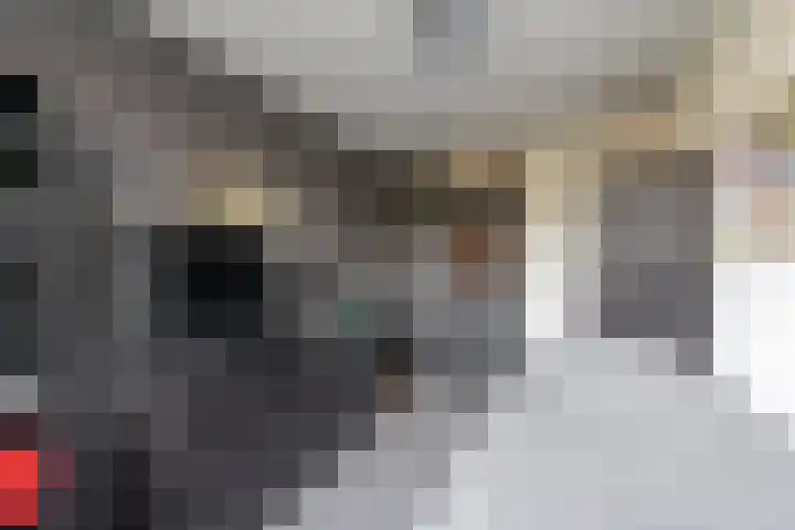 Fagot 11 Ewijk thumbnail 25