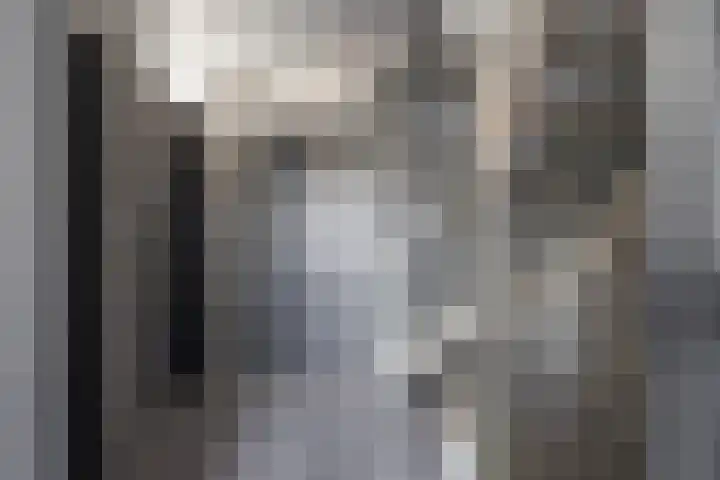 Fagot 11 Ewijk thumbnail 28