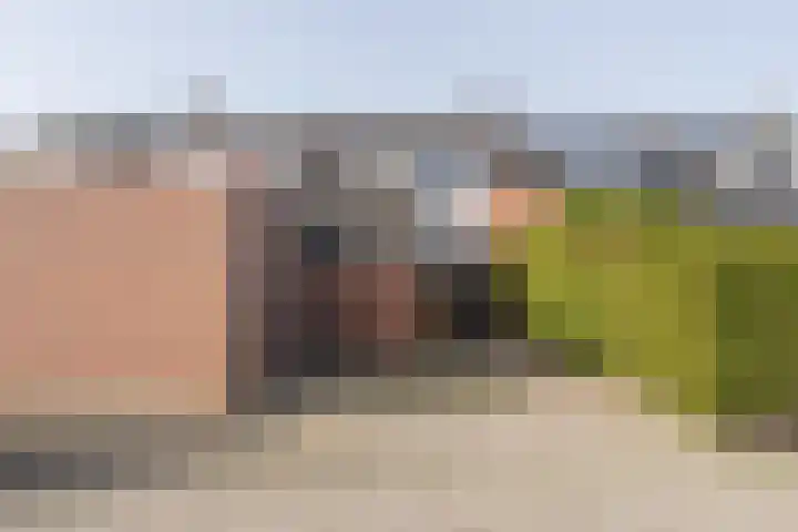 Fagot 11 Ewijk thumbnail 31