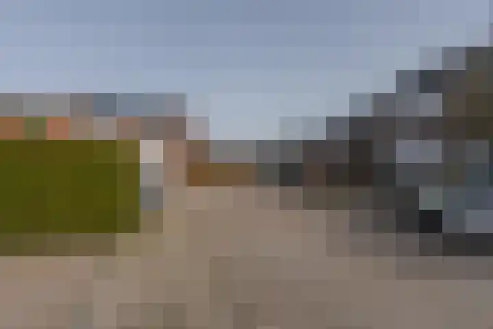 Fagot 11 Ewijk thumbnail 33