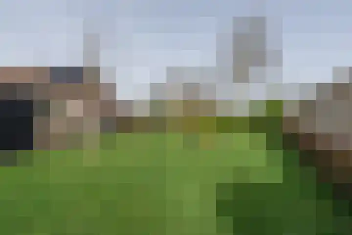 Fagot 11 Ewijk thumbnail 34