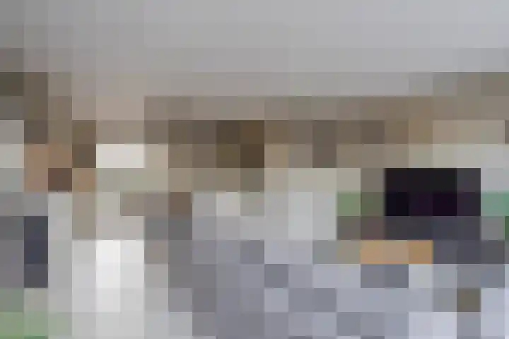 Fagot 11 Ewijk thumbnail 4