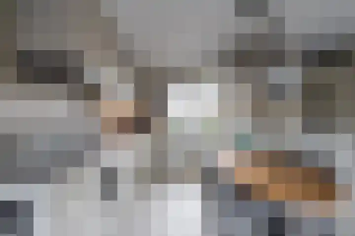 Fagot 11 Ewijk thumbnail 5
