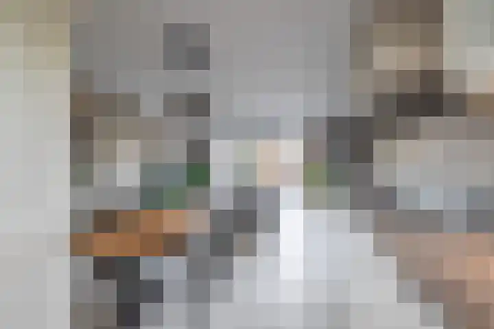 Fagot 11 Ewijk thumbnail 7