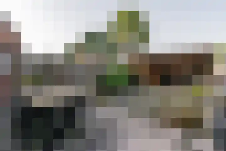 Fagot 11 Ewijk thumbnail 8