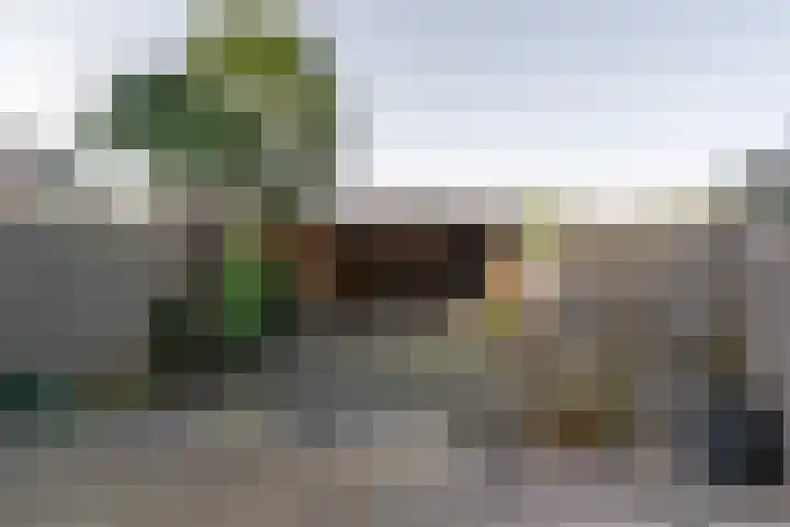Fagot 11 Ewijk thumbnail 9