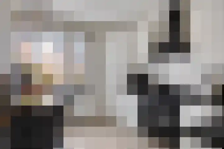Fagot 17 Ewijk thumbnail 11