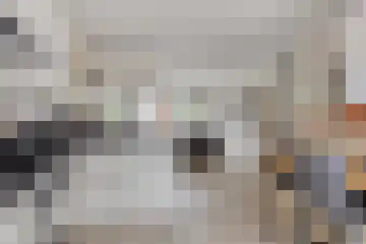 Fagot 17 Ewijk thumbnail 12