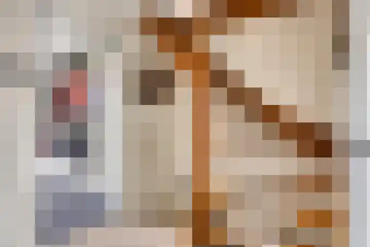 Fagot 17 Ewijk thumbnail 15