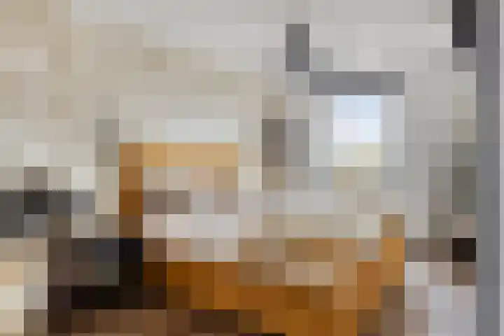 Fagot 17 Ewijk thumbnail 16