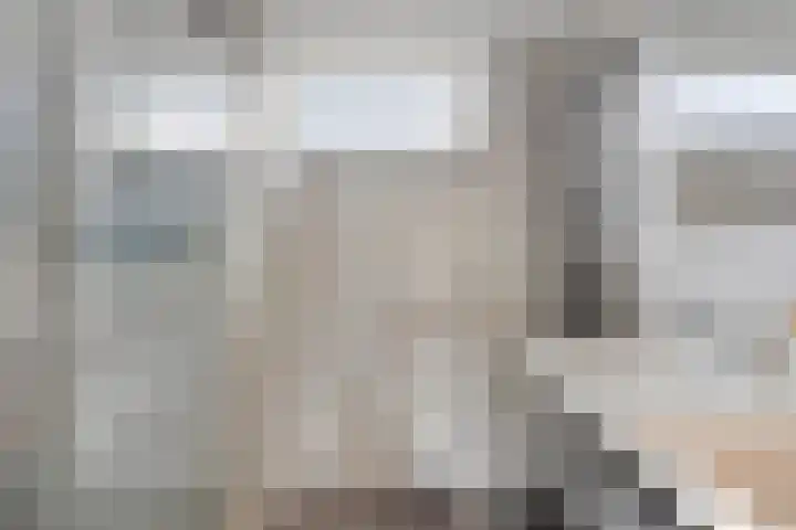 Fagot 17 Ewijk thumbnail 18