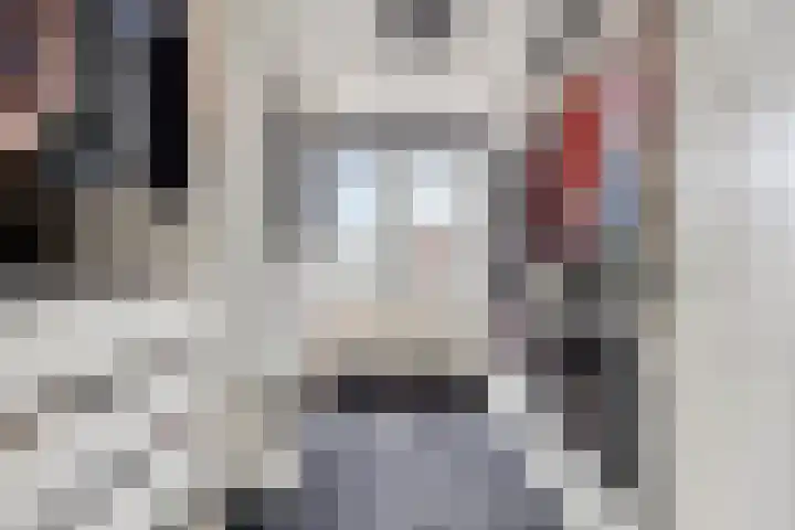 Fagot 17 Ewijk thumbnail 20