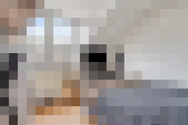 Fagot 17 Ewijk thumbnail 21