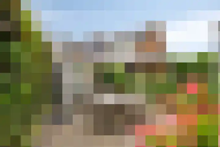 Fagot 17 Ewijk thumbnail 24