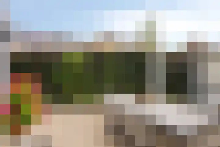 Fagot 17 Ewijk thumbnail 25