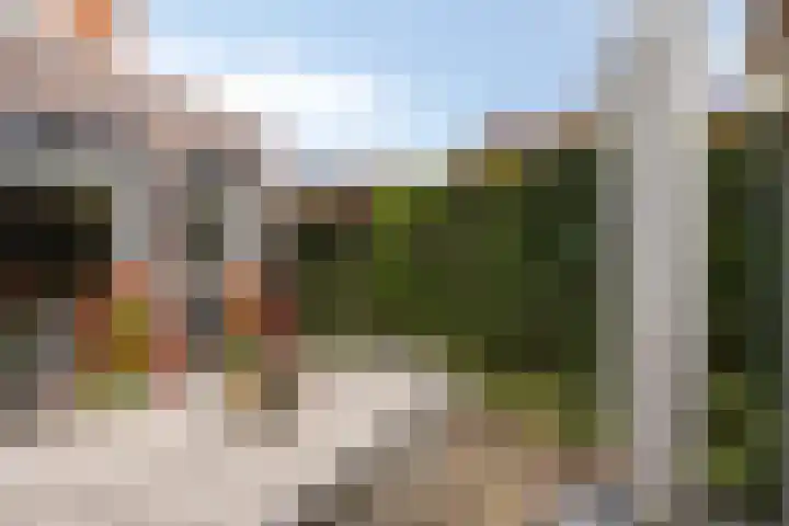 Fagot 17 Ewijk thumbnail 26