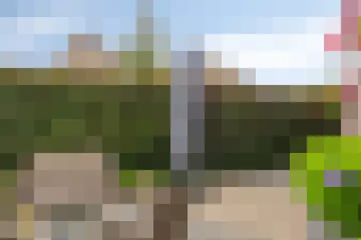 Fagot 17 Ewijk thumbnail 27