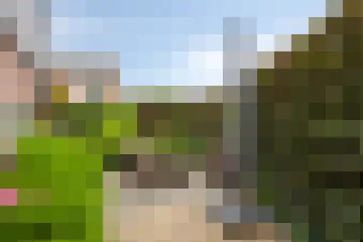Fagot 17 Ewijk thumbnail 28