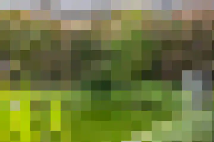 Fagot 17 Ewijk thumbnail 29
