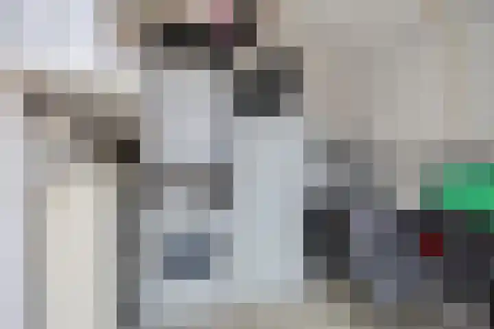 Fagot 17 Ewijk thumbnail 32