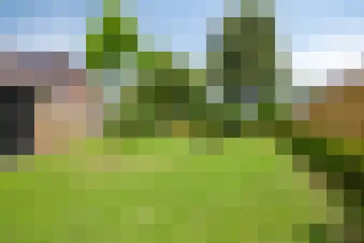 Fagot 17 Ewijk thumbnail 33