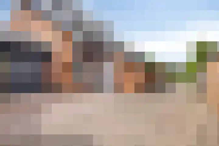 Fagot 17 Ewijk thumbnail 34
