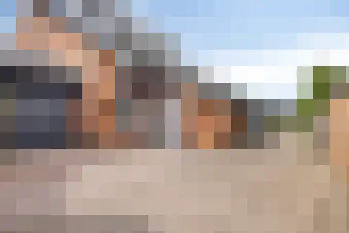Fagot 17 Ewijk thumbnail 35