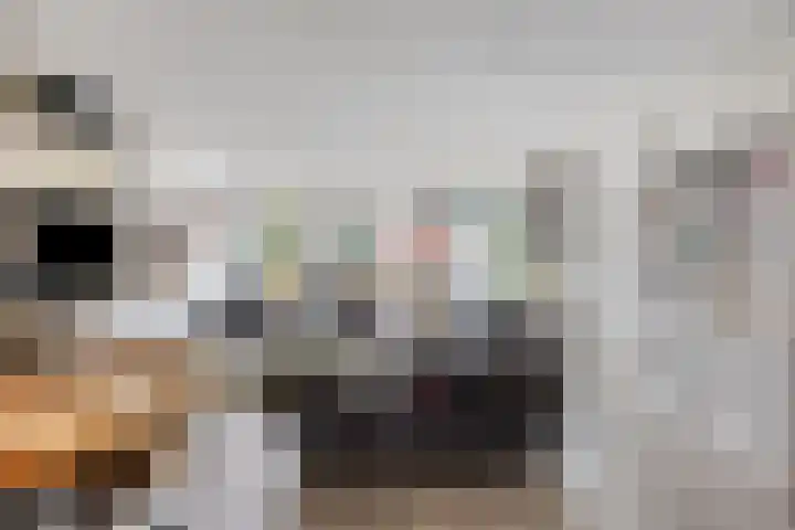 Fagot 17 Ewijk thumbnail 4
