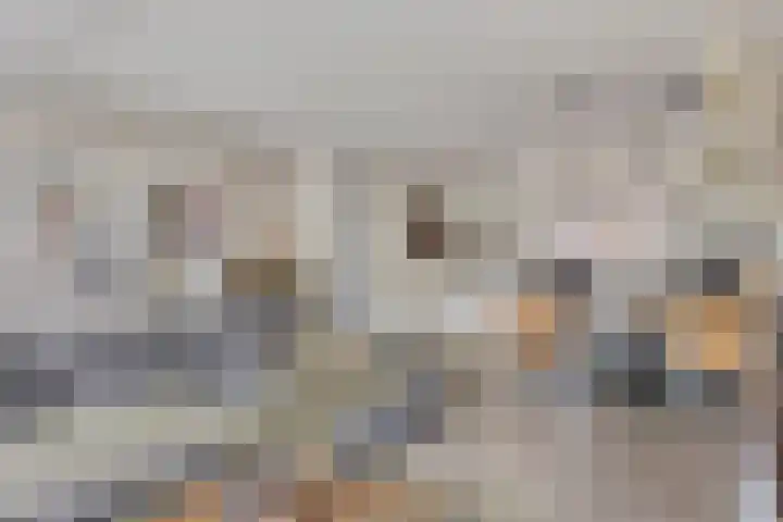 Fagot 17 Ewijk thumbnail 6