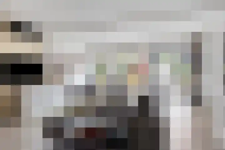 Fagot 17 Ewijk thumbnail 8