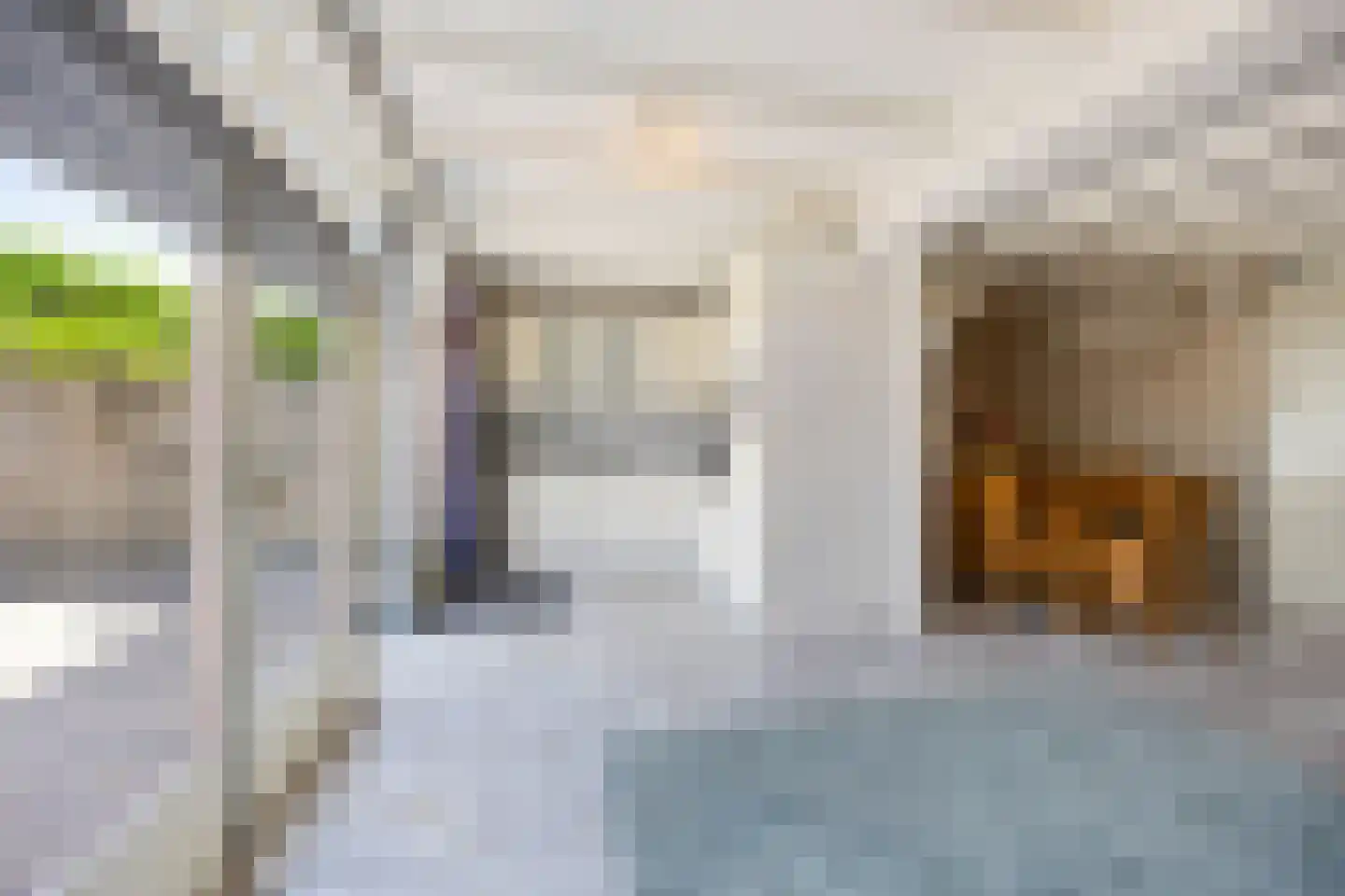 Fagot 20 Ewijk thumbnail 13