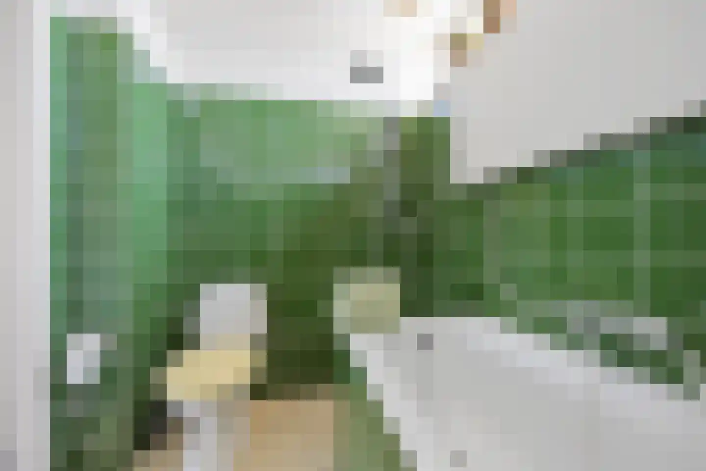 Fagot 20 Ewijk thumbnail 22