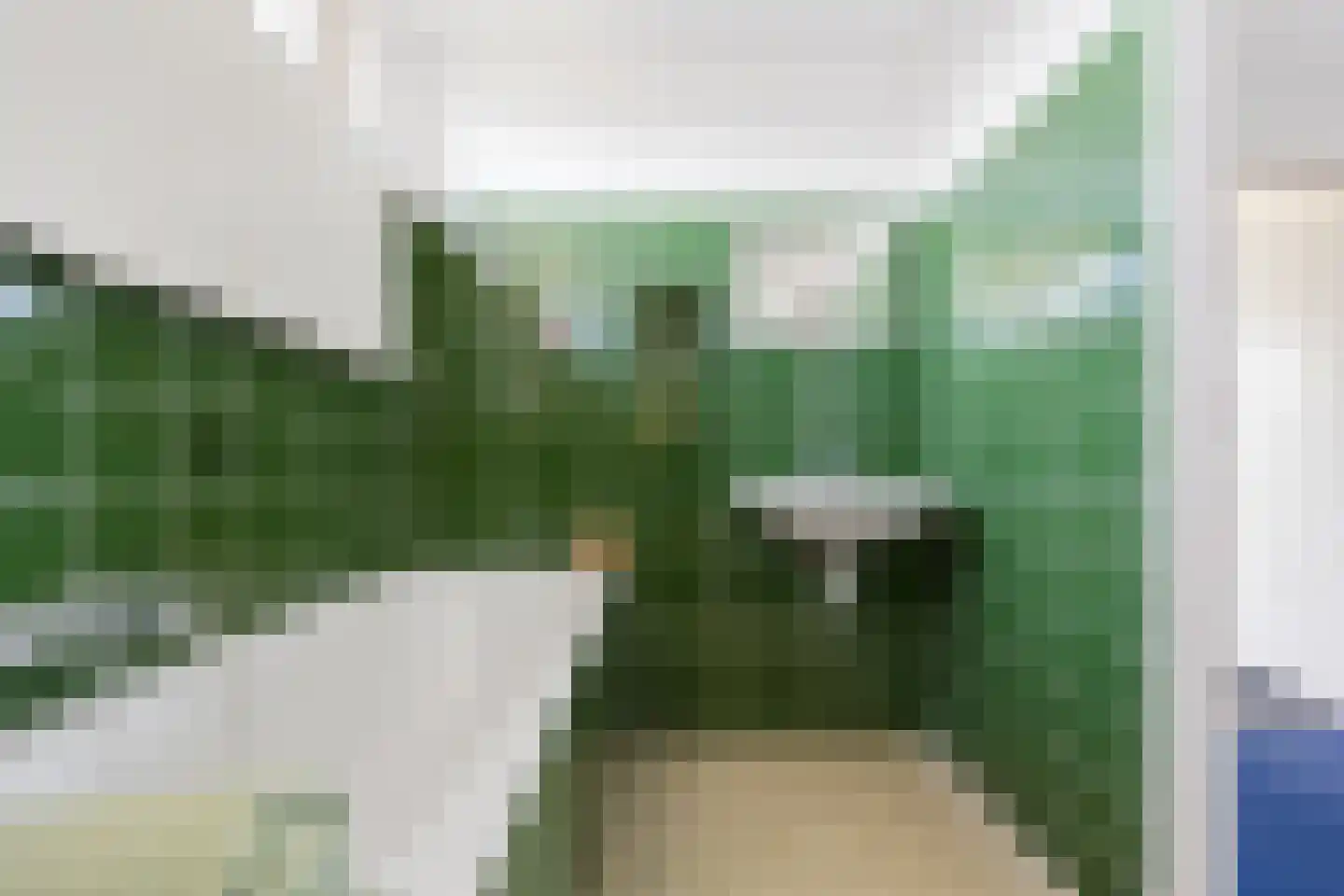 Fagot 20 Ewijk thumbnail 23