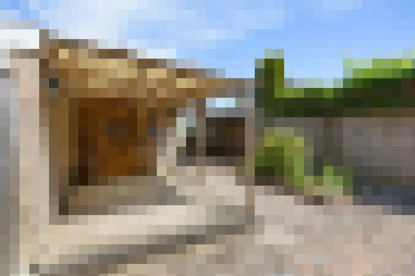 Fagot 20 Ewijk thumbnail 38